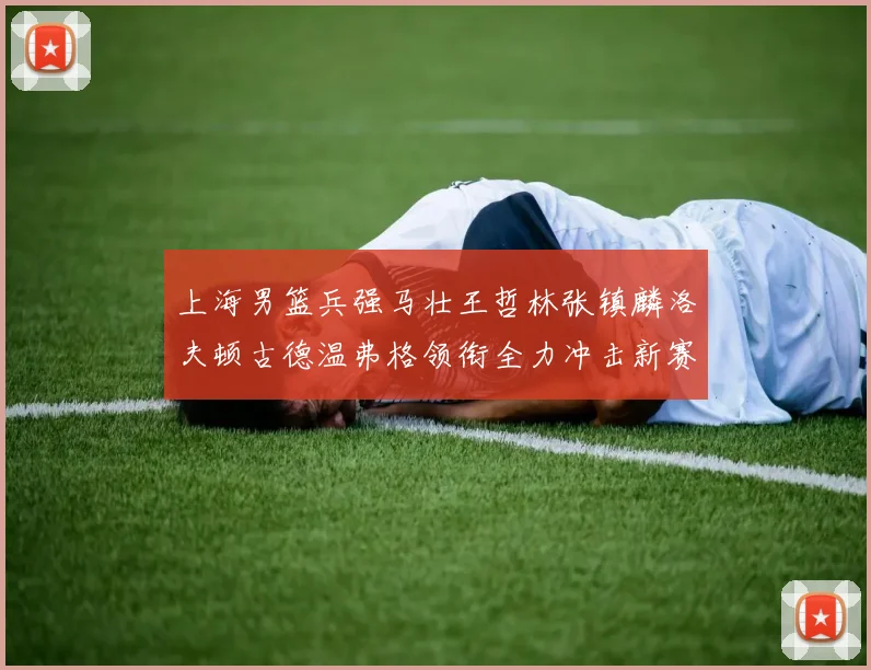 上海男篮兵强马壮王哲林张镇麟洛夫顿古德温弗格领衔全力冲击新赛季