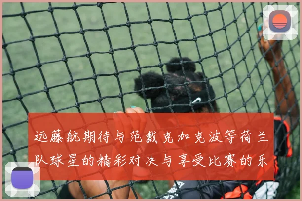 远藤航期待与范戴克加克波等荷兰队球星的精彩对决与享受比赛的乐趣