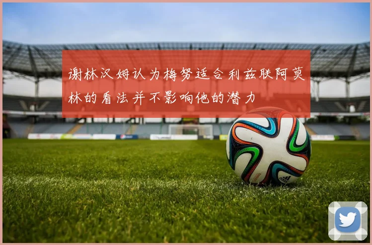 谢林汉姆认为梅努适合利兹联阿莫林的看法并不影响他的潜力